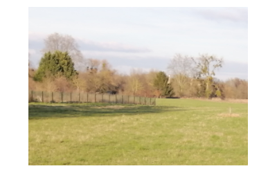 Au-delà des facteurs financiers : le rôle des réseaux, de la confiance, et de l'engagement dans le maintien de l'agriculture biologique