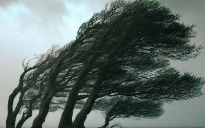 La résilience économique régionale en Europe sur la période 1988-2018